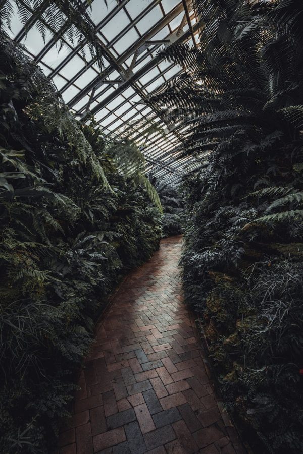 Quels accessoires peut-on ajouter à un jardin d&rsquo;hiver ?