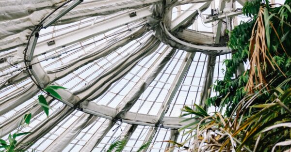 Comment construire une serre-dôme en verre
